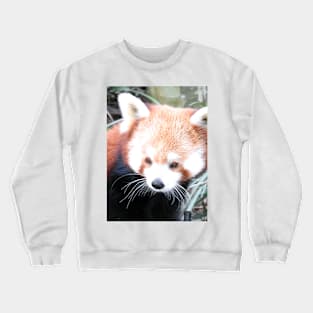 Red Panda Crewneck Sweatshirt